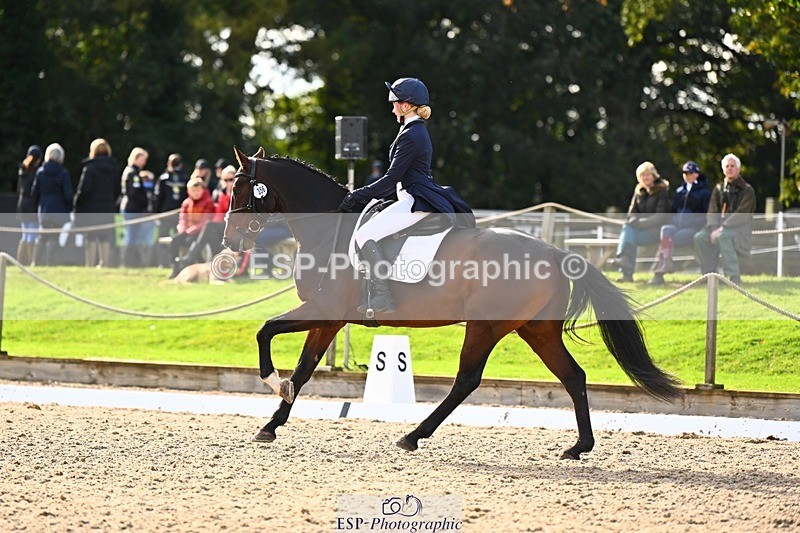 231021-141954-17807 - 356-KASAGRANDE.VR-Gemma.Watts-DR