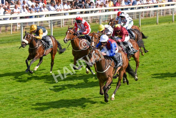 160623-Race 5-Harvanna-6376 - Race 5 4.10pm Juddmonte British EBF Fillies' Restricted Novice Stakes