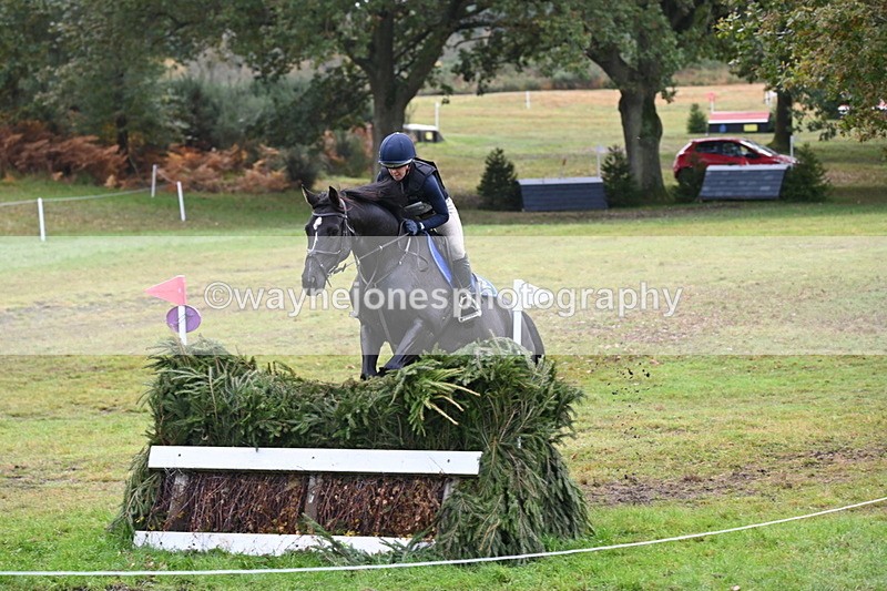 WJ6_1787 - 80cm Cam 1 Time 10:08 to 10:45