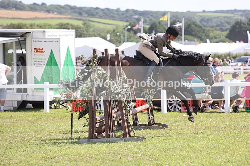 JPP_2187 - Class 19: Working Hunter 60cm