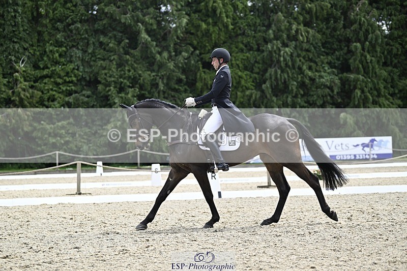 000101-190429-03847 - 426-VISCOUNT_VIKTOR-Tim_Price