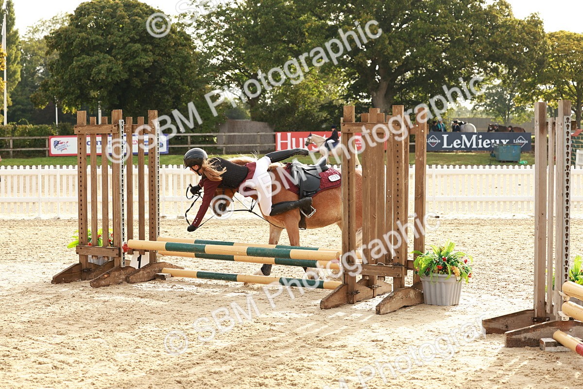 SBM_55689 - J11 - Junior Pony 50cm Championship