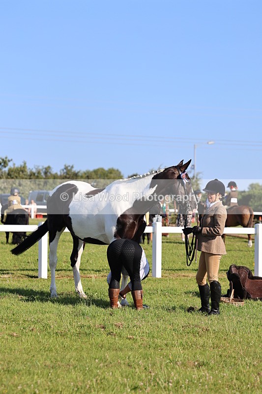 IMG_1312 - Class 27: Ridden Plaited Coloured Horse