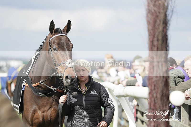 PtP 190323 203 - Oakley Hunt Point-to-Point Brafield-On-The-Green 19/03/23