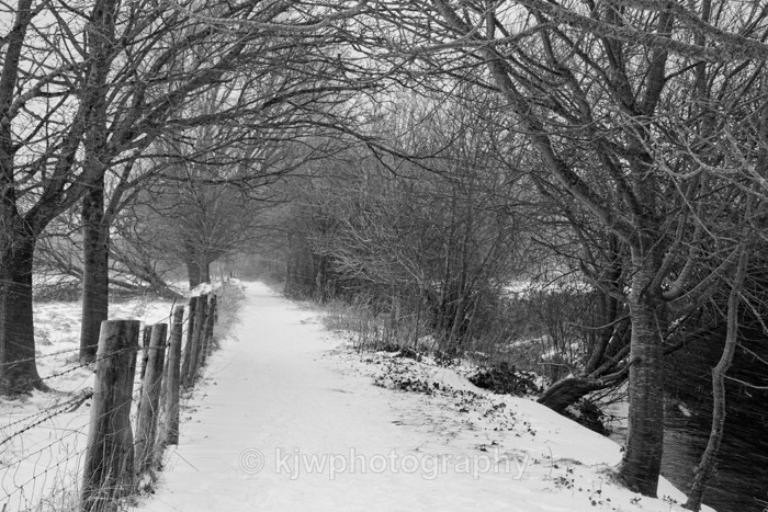 Snowy path - Gallery 8