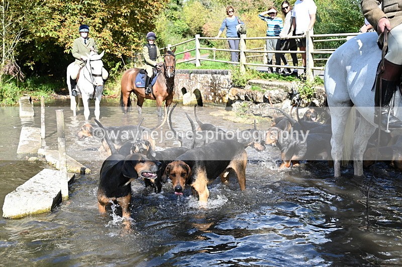 WJ7_6004 - Hounds Water Crossing