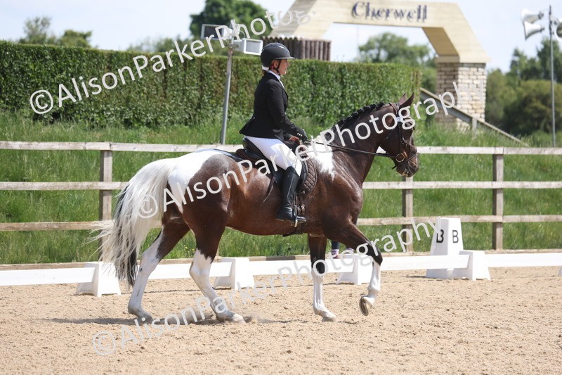 20250520-0821 - Class 5 - Novice 2