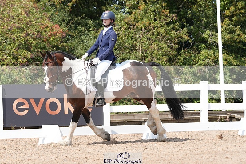 250817-122632-09361 - 050-Mollie.SheathTouch.Wood