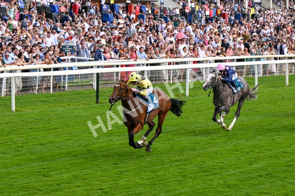 280625-Race 4-Hankelow-0513 - Race 4 3.40pm Al Basti Equiworld Dubai Novice Stakes