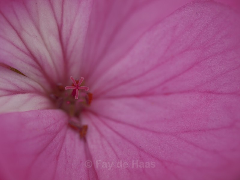  - Nature's Wonders