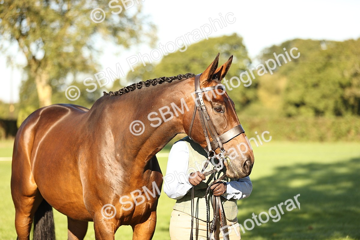 SBM_15733 - S1 - TSR in Hand Horse & Pony Showing