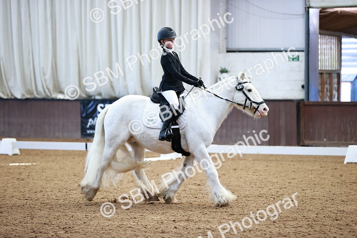 SBM_000069 - Class 3, 4, 8, 10 Intro 3 Prelim 3 Novice 2