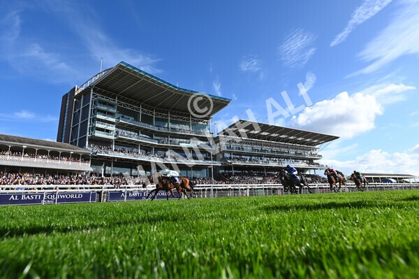 yr08102022r2-29 - Race 2 2.05pm The Coral Rockingham Stakes