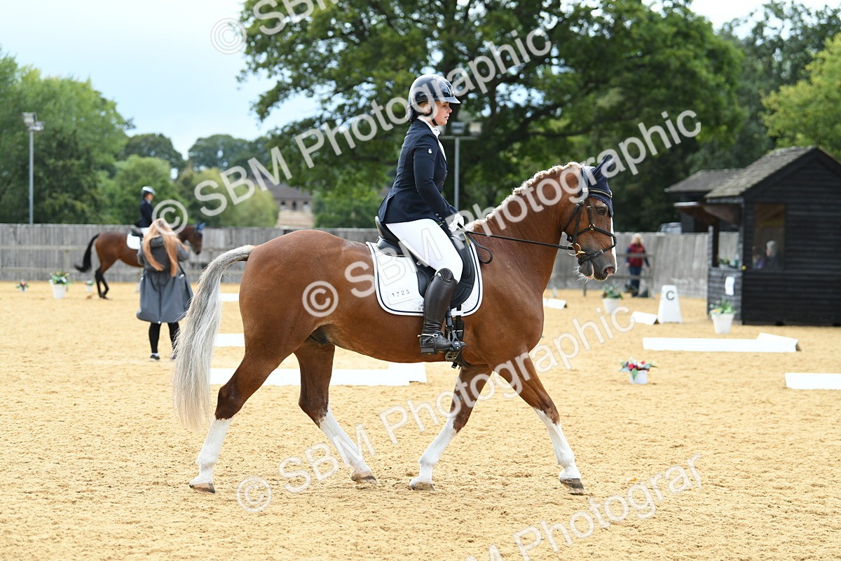 SBM_09908 - D15 Small Tour Championship Novice 24