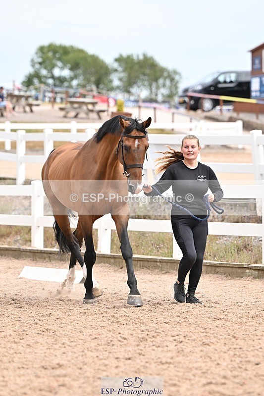 250716-154310-02156 - Trot Up 3.30 to 4.30