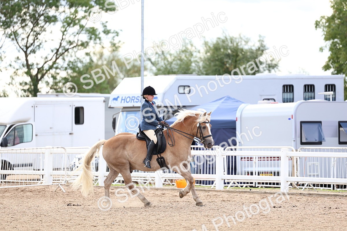 SBM_17267