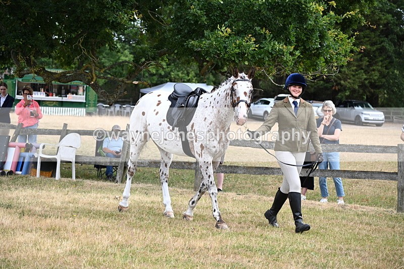 WJ6_3851 - Class 9 Tack & Turnout