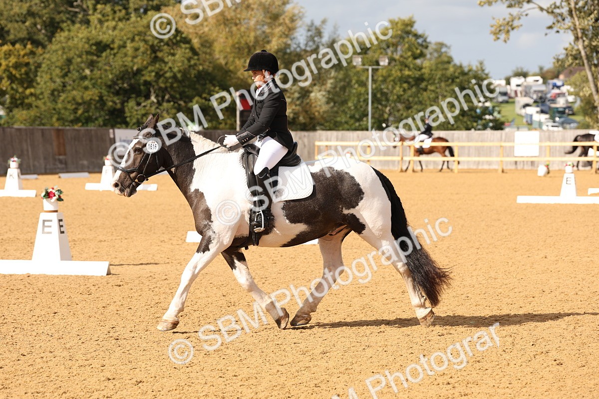 SBM_24685 - D17 - Grand Tour Championship Novice 3
