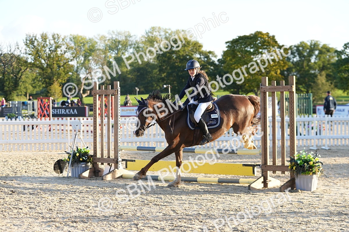 SBM_54141 - Supreme Championship 60cm 65cm