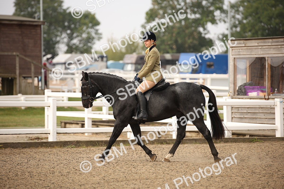 SBM_09768 - Class 401 Riding Club Pony