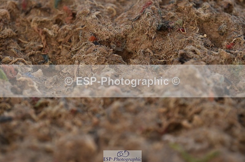 231104A-141212-02058 - Cls 10 Medium 61