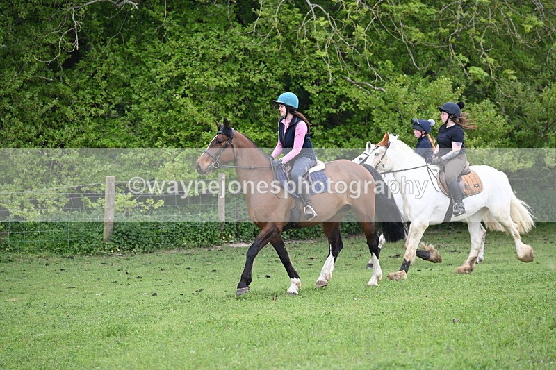 WJ6_3099 - A camera