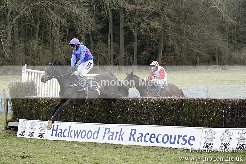 PtP 110318 164 - Hampshire Hunt Point-to-Point Hackwood Park 11/03/18