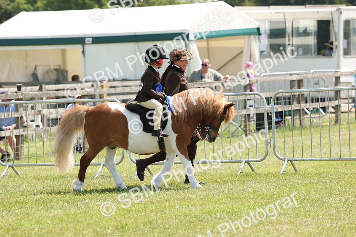 SBM_05406 - Class 24-25 - Mountain & Moorland In Hand Lead Rein and First Ridden