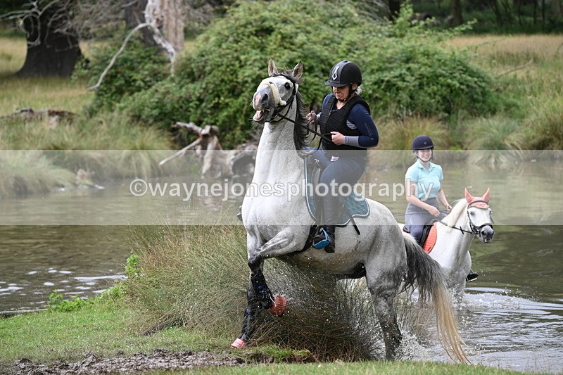 WJ7_4029 - Time at Water 12:52 to 13:22