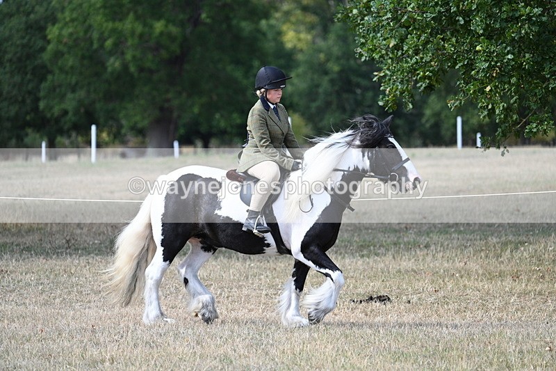 WJ7_7086 - Class 14 Ridden Coloured