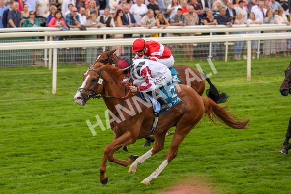 280723-Race 4-Cairn Gorm-2885 - Race 4 6.40pm Tomahawk Restaurants Handicap