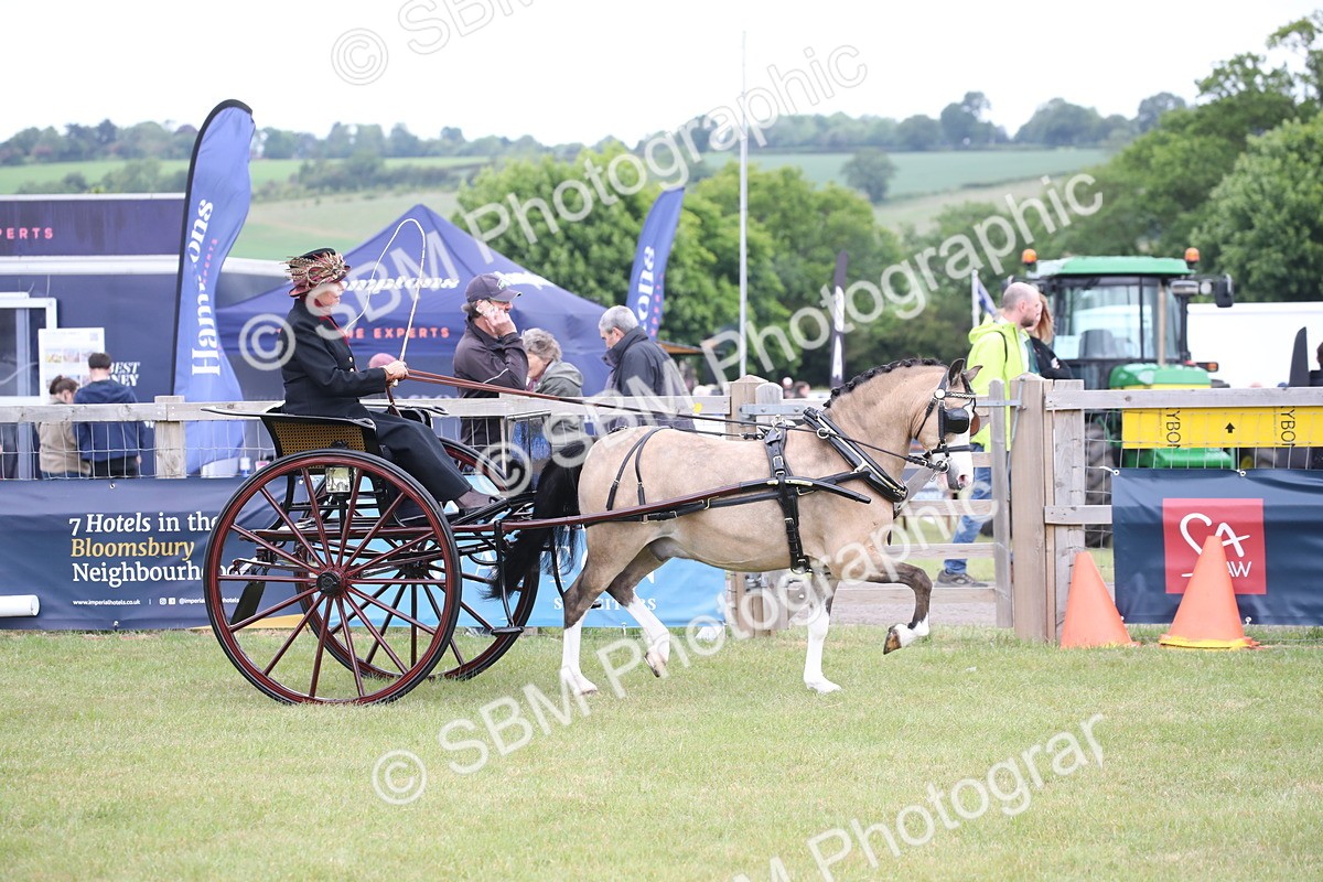 SBM_05820 - Class 12-15 - HOYS Private Driving