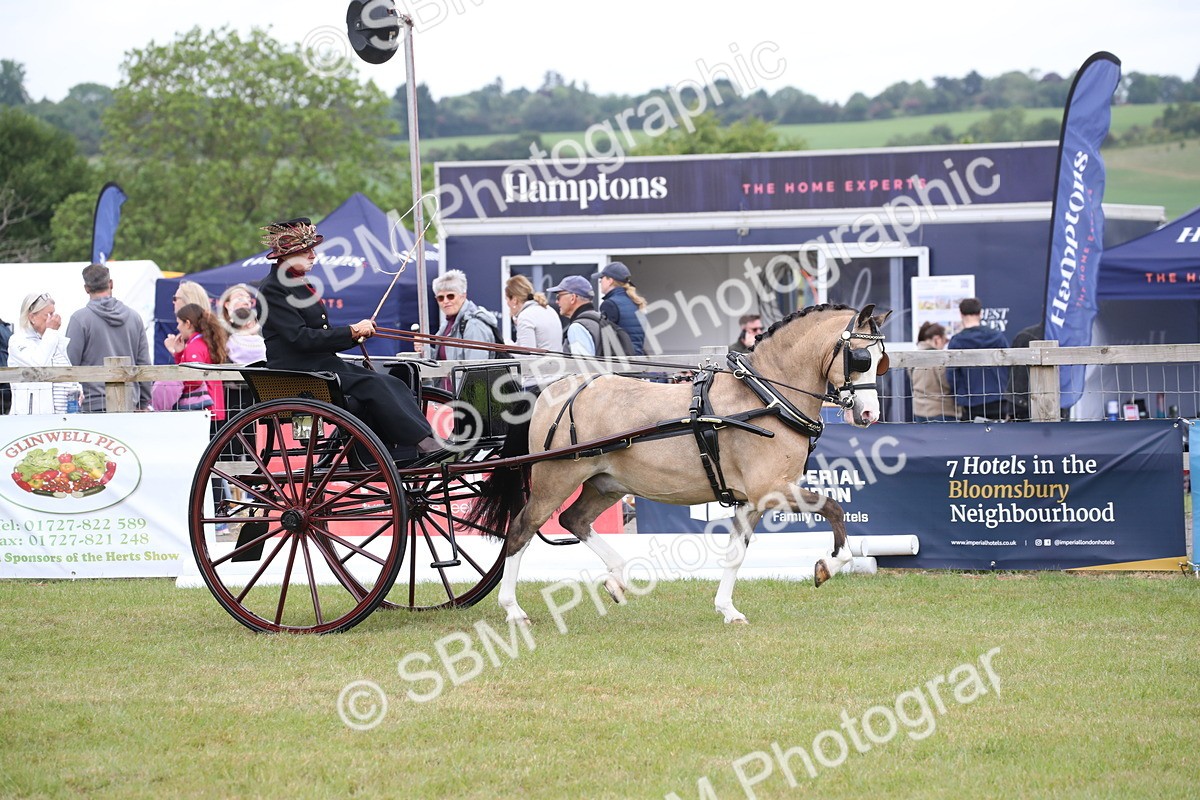 SBM_05819 - Class 12-15 - HOYS Private Driving