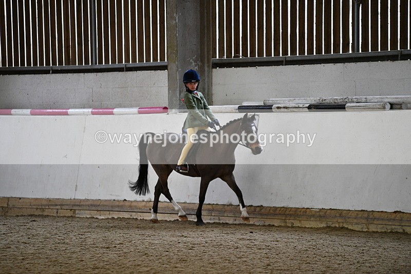WJ5_6495 - Class 10 Childs Pony