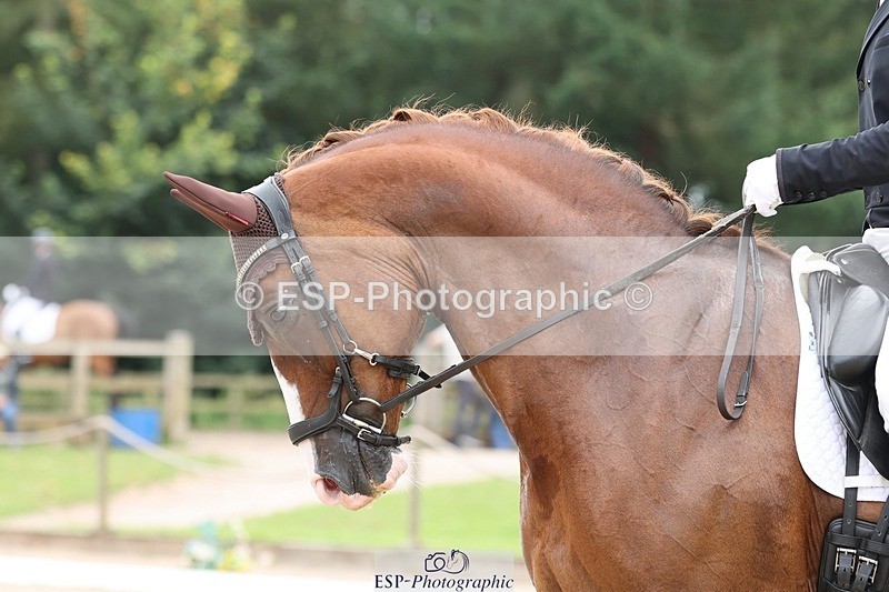 240810-133700-03361 - 150-Gijs.Van.Vooren-Hawtins.Quattro