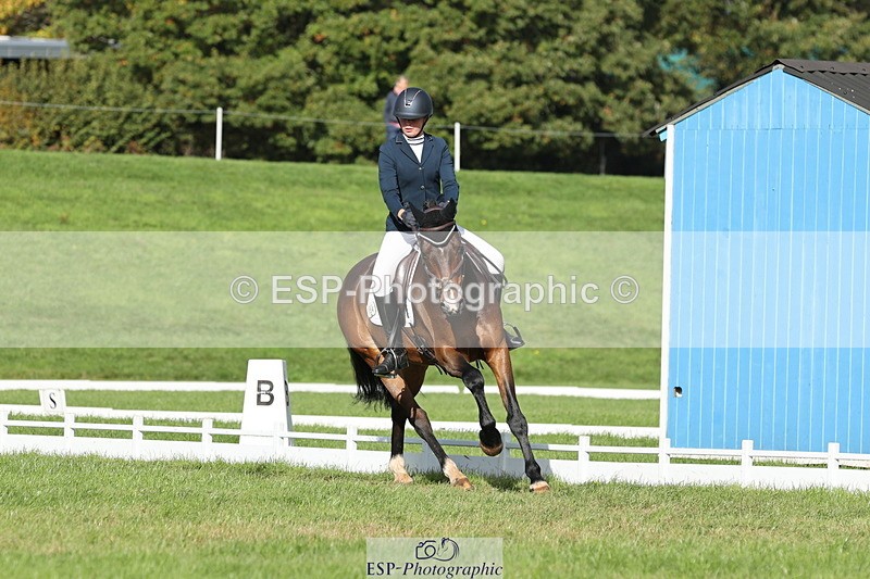 251024A-114137-10033 - D-354-Poppy.Burner