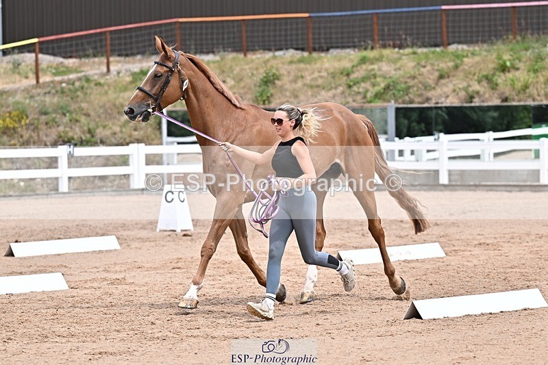 250716-133306-00564 - Trot Up 1.30 to 2.30