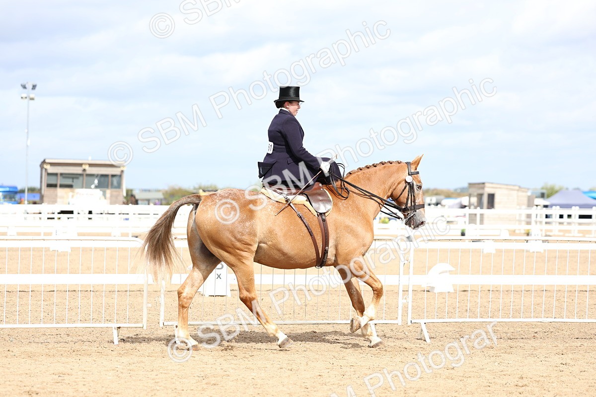SBM_03320 - Class 23 - SSA Classical (any age)