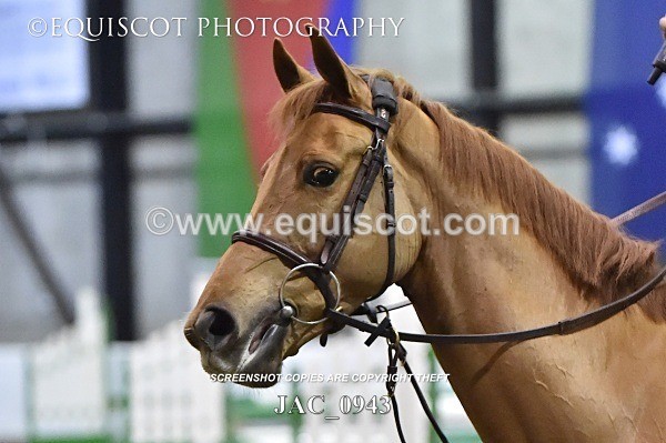 JAC_0943 - 14TH NOVEMBER 2017 - GEORGE & JAMES WHITAKER DEMO - MORRIS EC