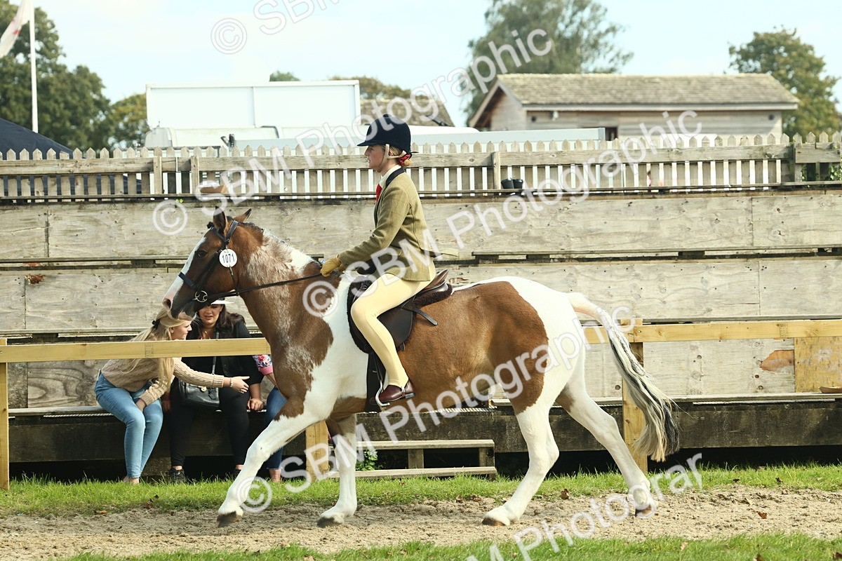 SBM_67654 - S56 - Coloured Pony Ridden