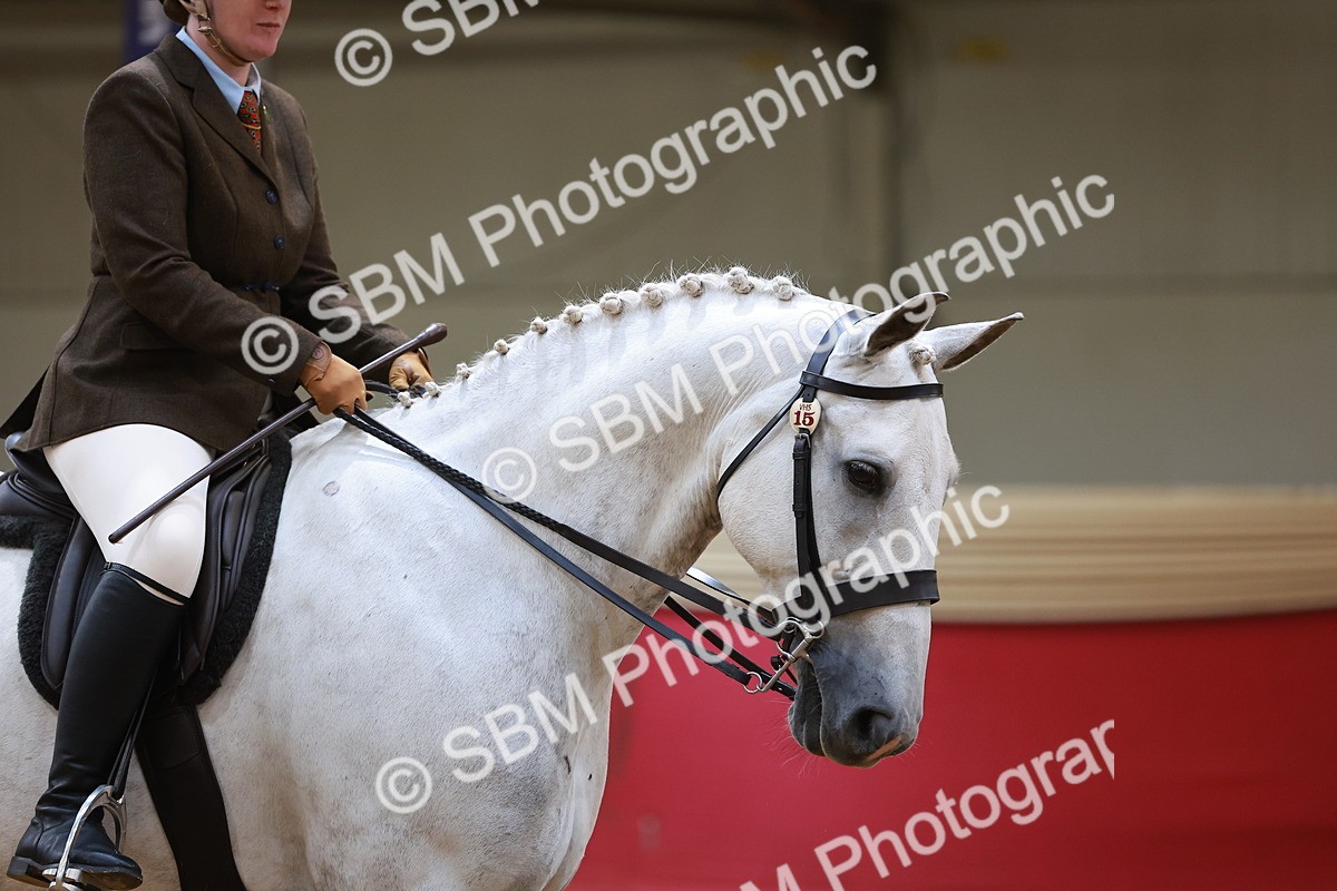 SBM_06050 - Class 12R - Ridden Pre-Vet