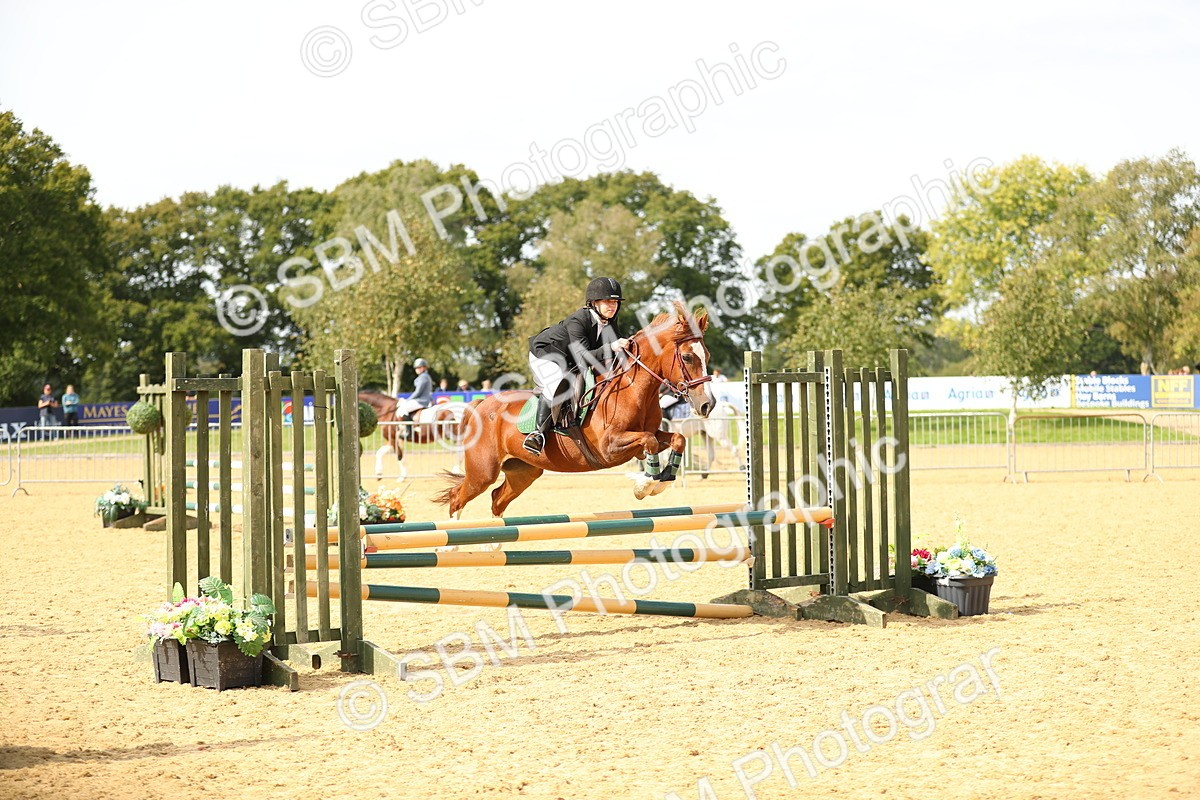 SBM_66015 - J17 - Junior Pony 80cm Championship