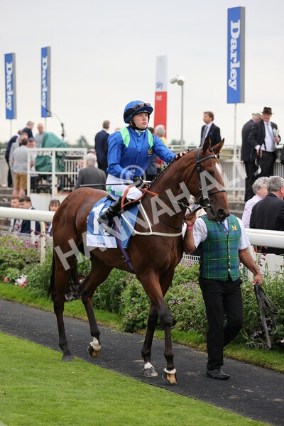yr19082021r5-14 - Race 5 4.10pm OR8wellness ebfstallions Nursery Handicap