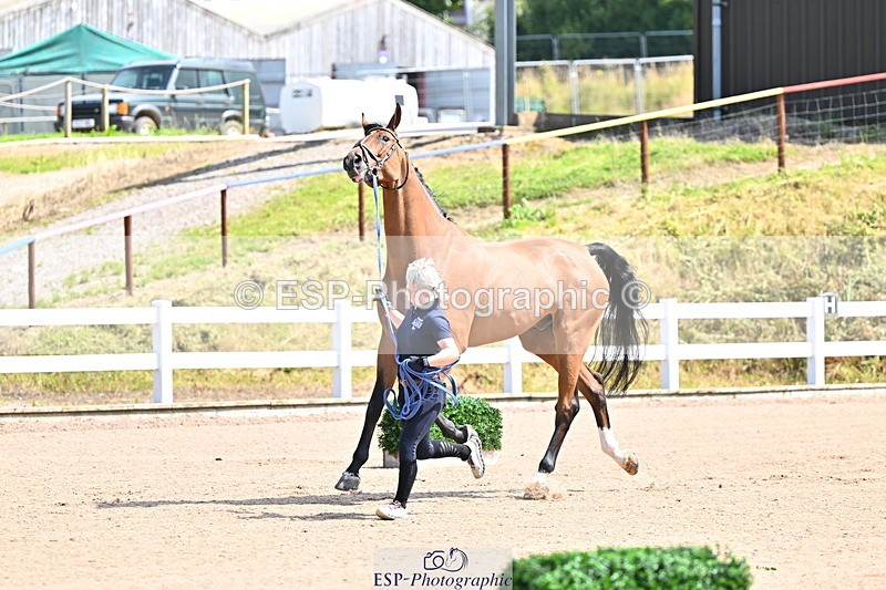 240718A-105237-00933 - Trot Up 11am to 12pm