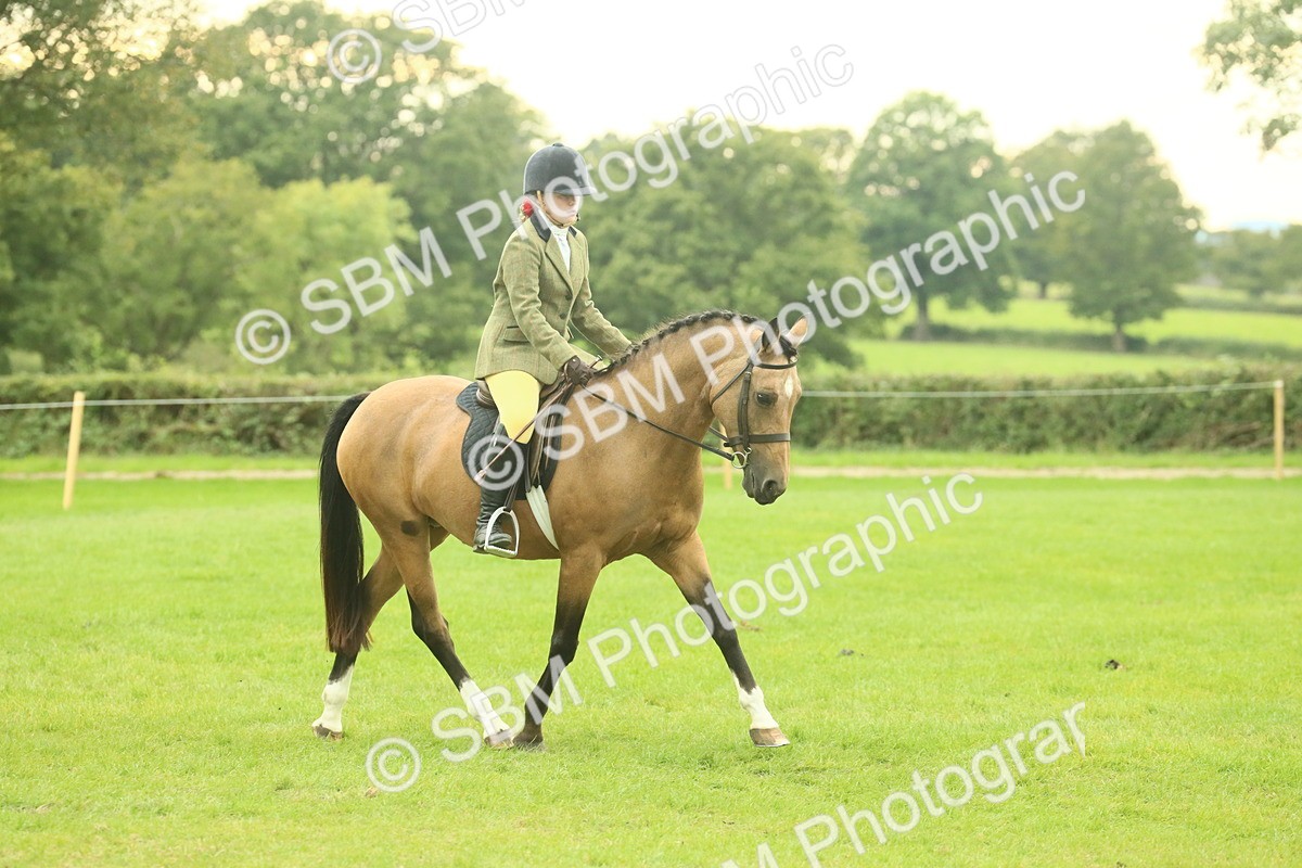 SBM_73915 - S 61 - Show Pony & Show Hunter Pony Ridden