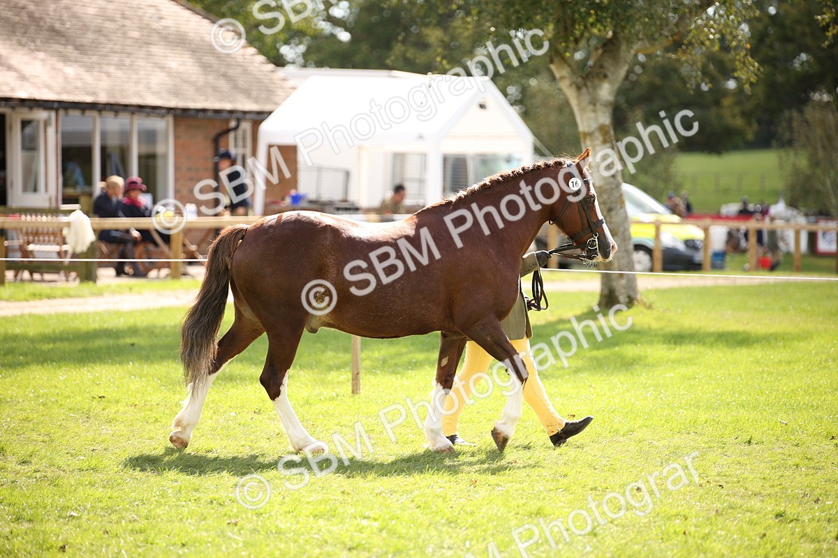 SBM_44355 - S24 - Young Veteran in hand