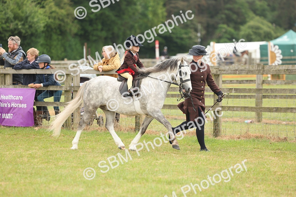 SBM_06831 - Class 74-75 - M&M Lead Rein and First Ridden Pony