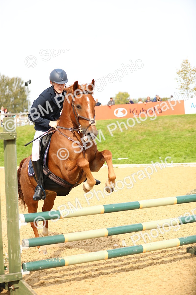 SBM_67248 - J17 - Junior Pony 80cm Championship