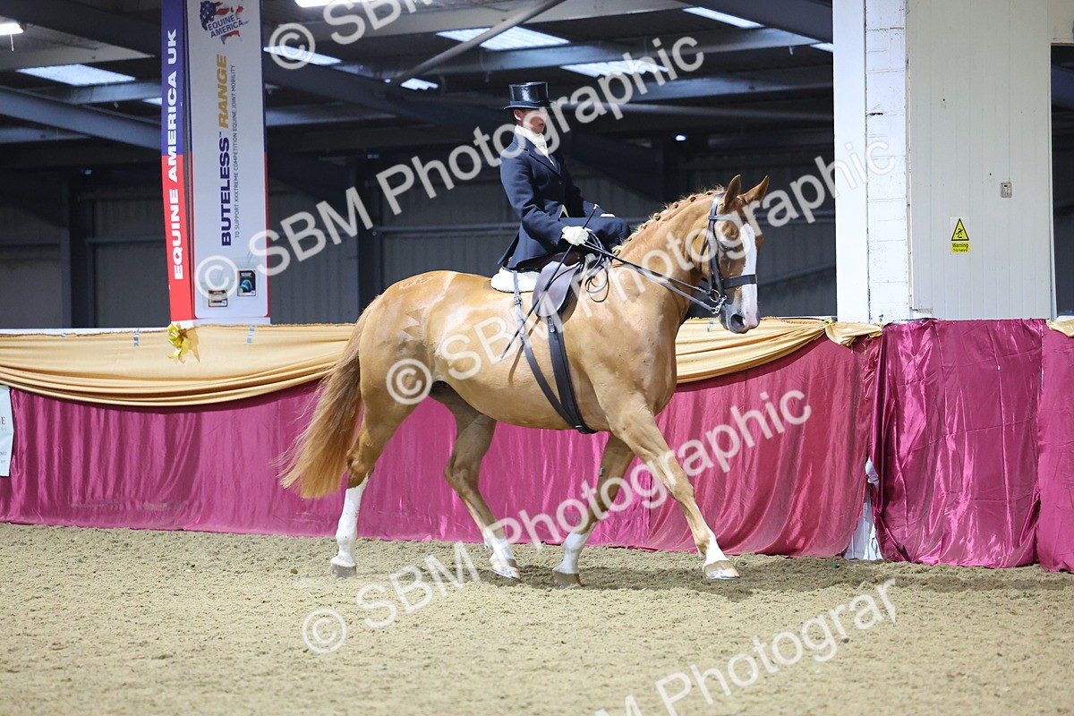 0B8A4236 - Class L Side Saddle Champ