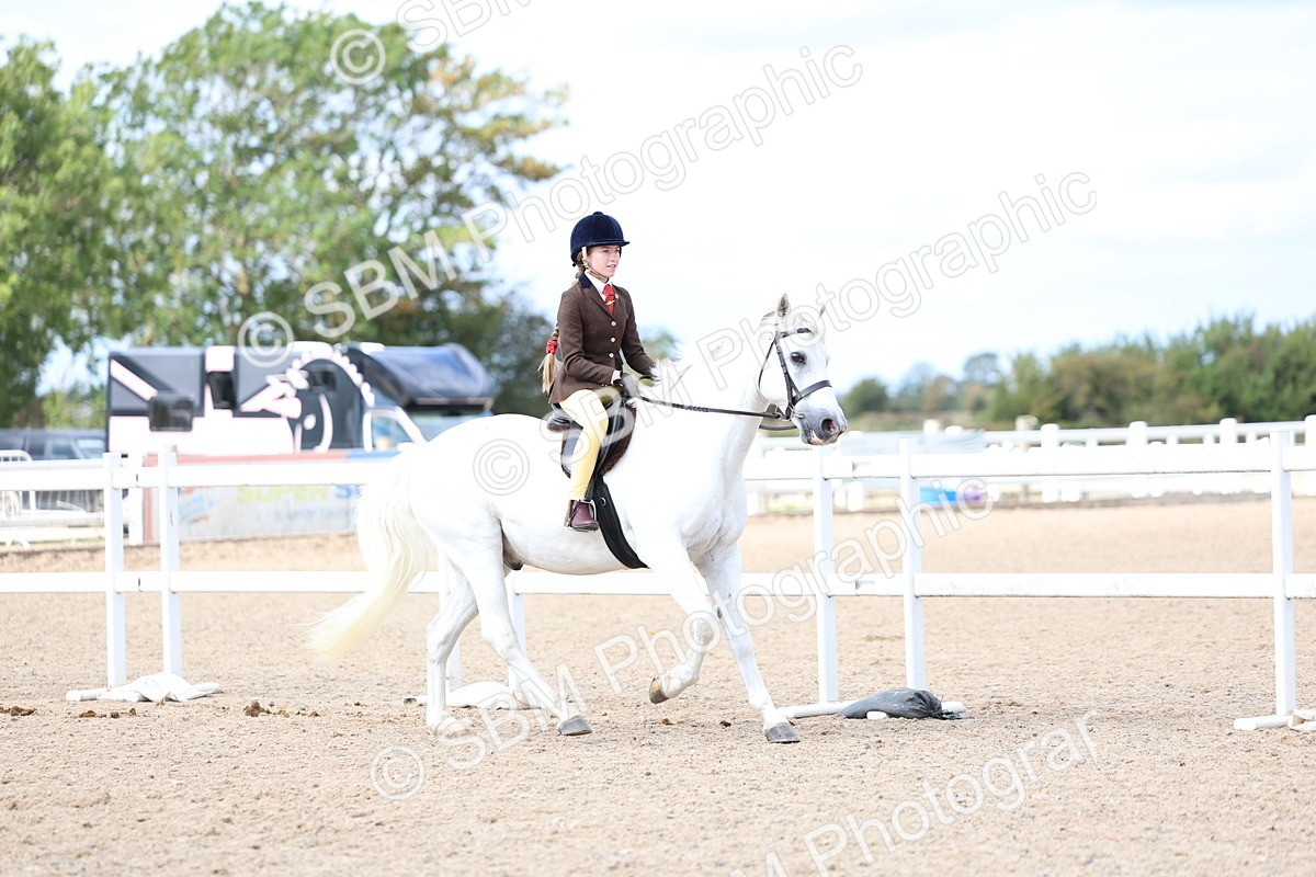 SBM_15776 - Class 314 - Family Horse - Pony